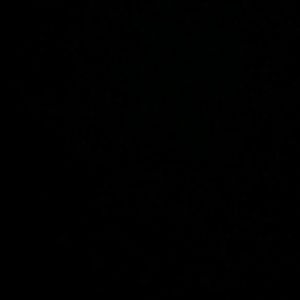 Meet your Posher, Samuel